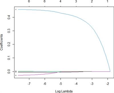 Factors Affecting the Postoperative Bowel Function and Recurrence of Surgery for Intestinal Deep Endometriosis